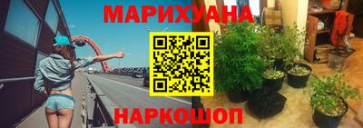 СК Гусев