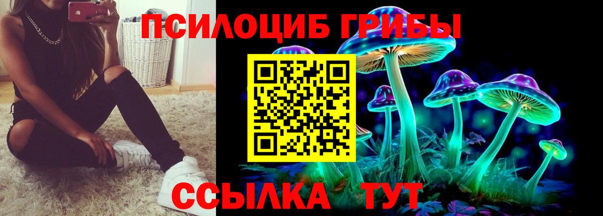 Славянск-на-Кубани  Галлюциногенные грибы Cubensis  Вход с VPN  Галлюциногенные грибы прущие грибы 